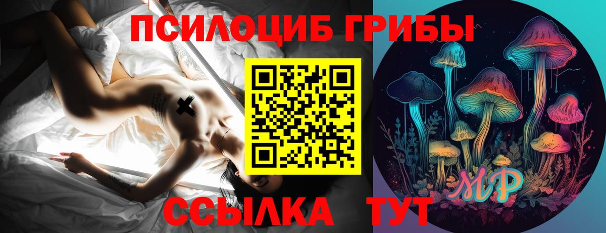 Псилоцибиновые грибы мицелий Сургут